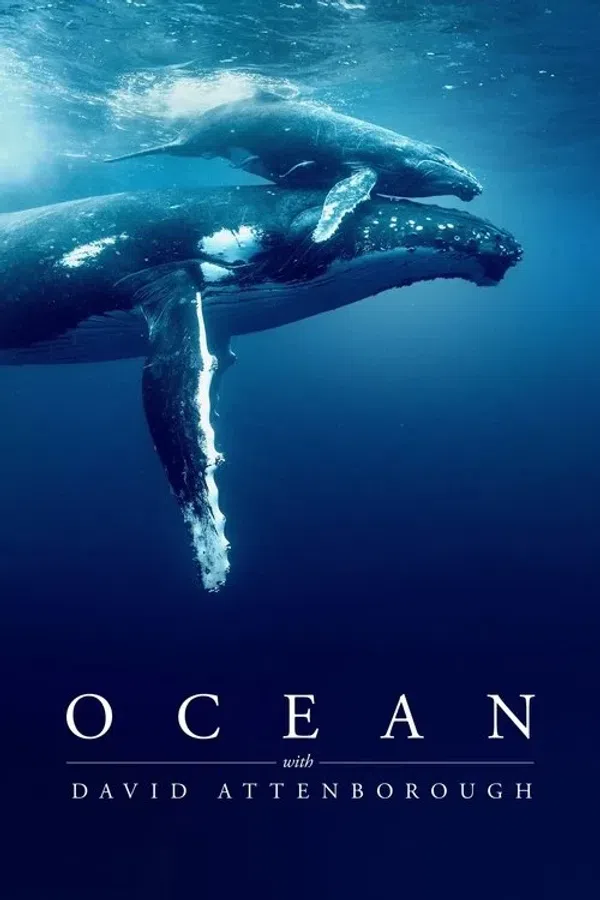Đại dương cùng David Attenborough Vietsub - Motchill
